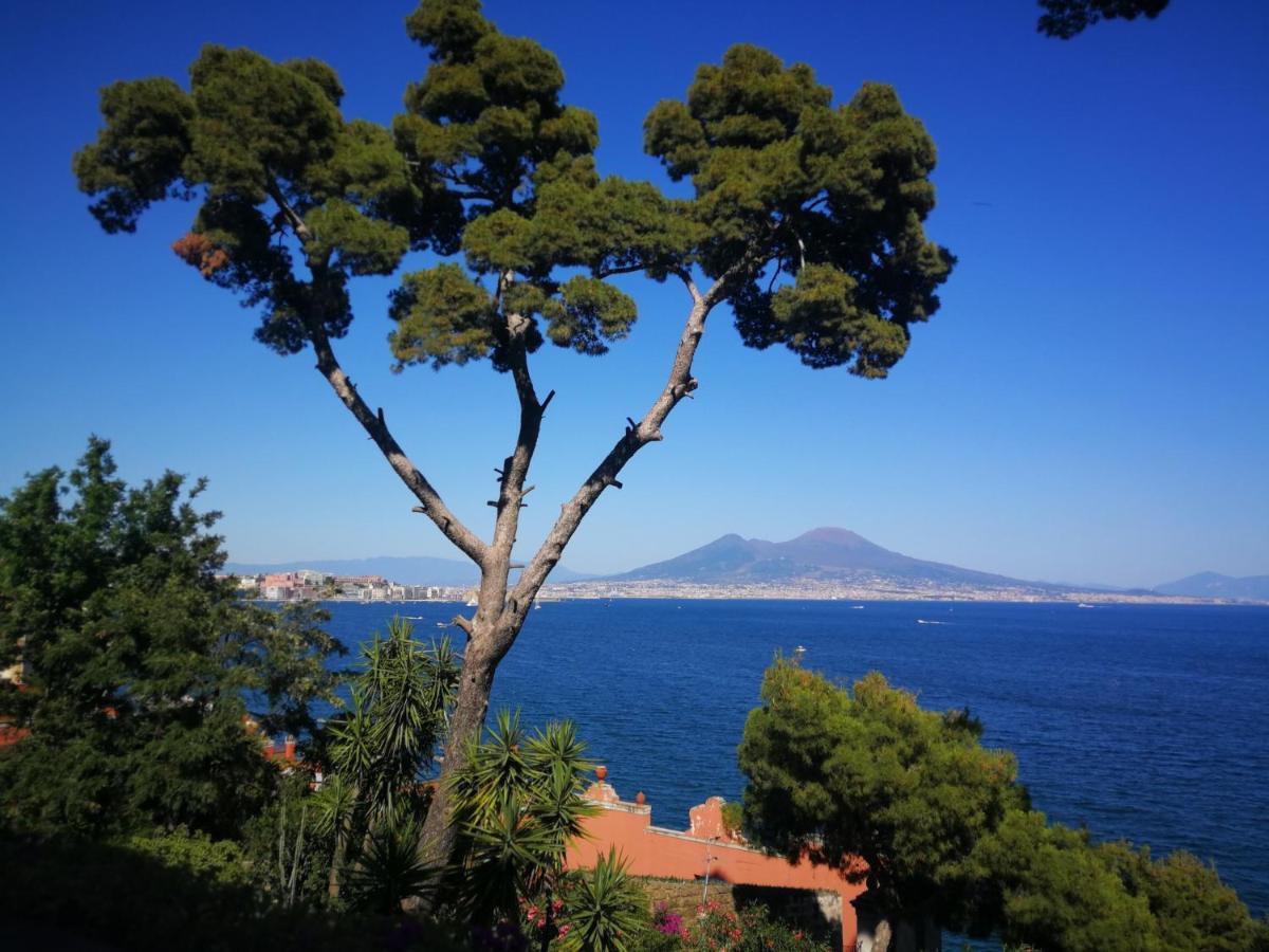Arturo'S House Daire Napoli Dış mekan fotoğraf